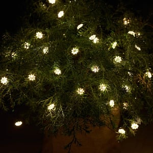 Sirius Home 30837 Decorative Lighting, 40 LEDs