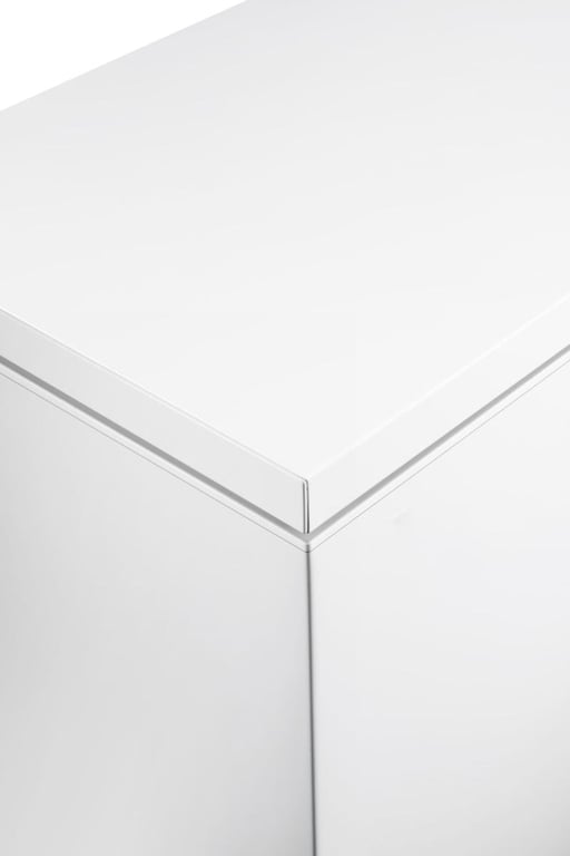 Gorenje FH30EAW Zamrażarka skrzyniowa Wolnostojący 297 l Biały
