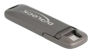 DeLOCK 54013 pamięć USB 512 GB USB Type-C Szary