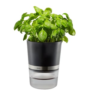 GEFU BOTANICO Kryddkruka, fristående, plast, rostfritt stål, svart