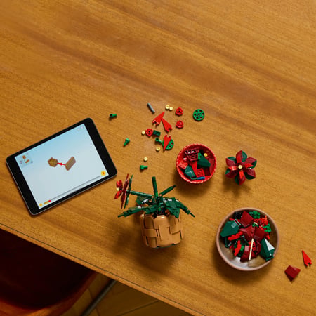 LEGO Botanicals Gwiazda Betlejemska