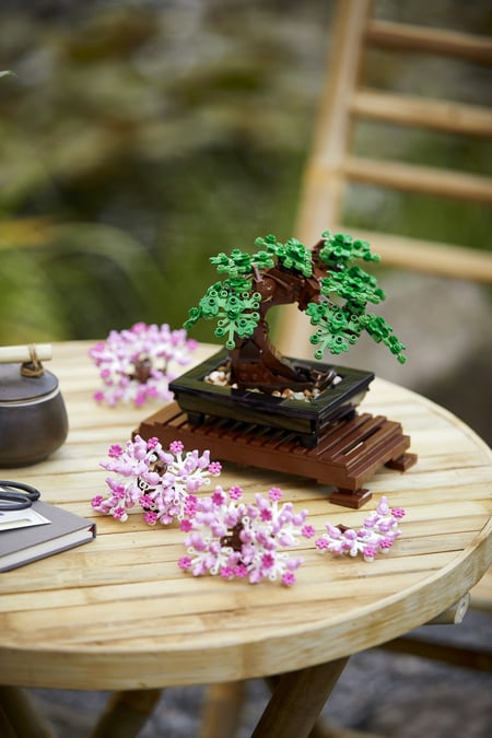 LEGO Botanicals Drzewko bonsai