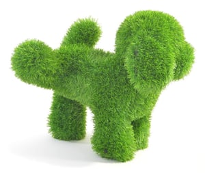AniPlants 53276 Garden Sculpture Animal Figurine for the Garden Green 1 pc.