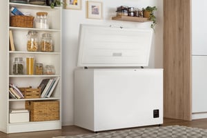 Gorenje FH30EAW Zamrażarka skrzyniowa Wolnostojący 297 l Biały