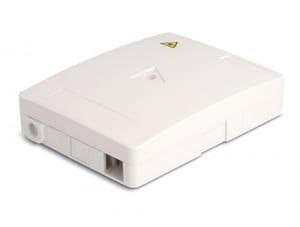 DeLOCK Wall-Mounted Optical Distribution Box, for 2 x SC Simplex or LC Duplex, white