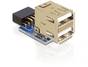 DeLOCK 1 x 9-polig 2,54 mm/2 x USB 2.0-A Schwarz, Blau, Silber