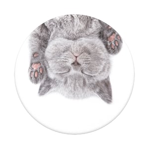 PopSockets Cat Nap Uchwyt pasywny Czytnik e-book'ów, Telefon komórkowy/Smartfon, Tablet/UMPC Wielobarwny
