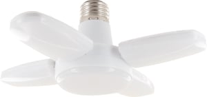 Schwaiger WLED0360 E27 LED G Ceiling Light