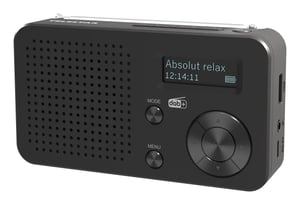 Telestar TOP 100 Przenośny Analogowe i cyfrowe Czarny