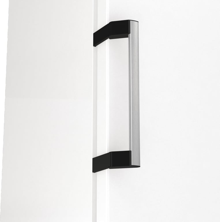 Gorenje FN619EAW6 Zamrażarka wolnostojąca Wolnostojący 280 l Biały