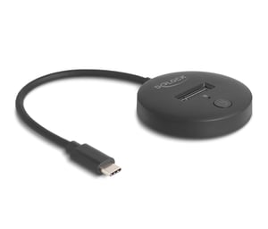 DeLOCK M.2 Docking Station for M.2 NVMe/SATA SSDs with Male USB 10 Gbps USB Type-C