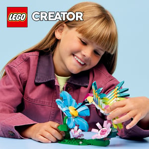 LEGO Creator Dzikie zwierzęta: kolorowy koliber
