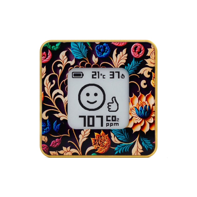 фото Метеостанція Airvalent AIRV-BLOM