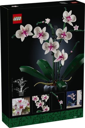 LEGO Botanicals Orchidea