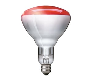 Philips 923212043801 infraröd lampa 250 W Glödlampa