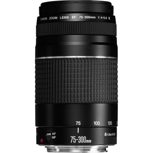 Canon 6473A015 Objektiv für Spiegelreflexkameras, Teleobjektiv, schwarz