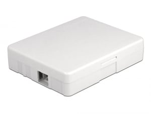 DeLOCK Wall-Mounted Optical Distribution Box, for 2 x SC Simplex or LC Duplex, white
