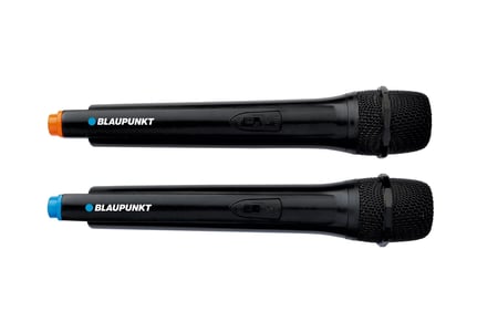 Blaupunkt PB12DB Głośnik imprezowy Czarny