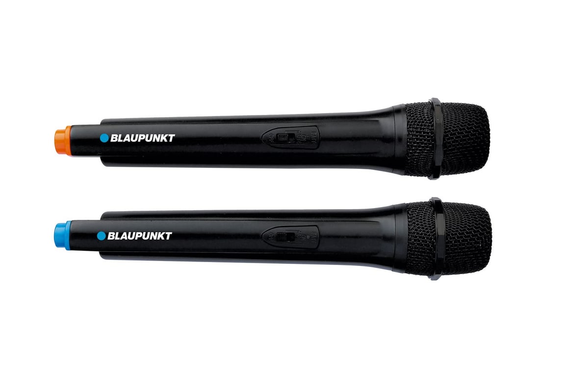 Blaupunkt PB12DB Głośnik imprezowy Czarny