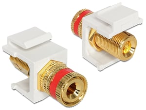 DeLOCK 86304 Schlüsselmodul