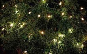 Sirius Home Knirke Light Decorative String Lights, 160 LEDs, 2.4 W