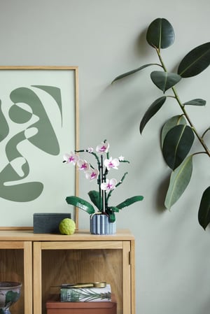 LEGO Botanicals Orchidea