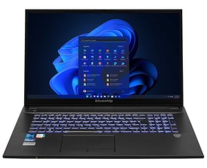 bluechip TRAVELline 17W4 EDU Intel® Core™ i5 i5-1335U Laptop 43,9 cm (17.3") Full HD 16 GB DDR4-SDRAM 500 GB SSD Wi-Fi 6E (802.11ax) Windows 11 Pro Czarny