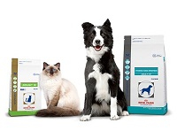 Dog and Cat Food