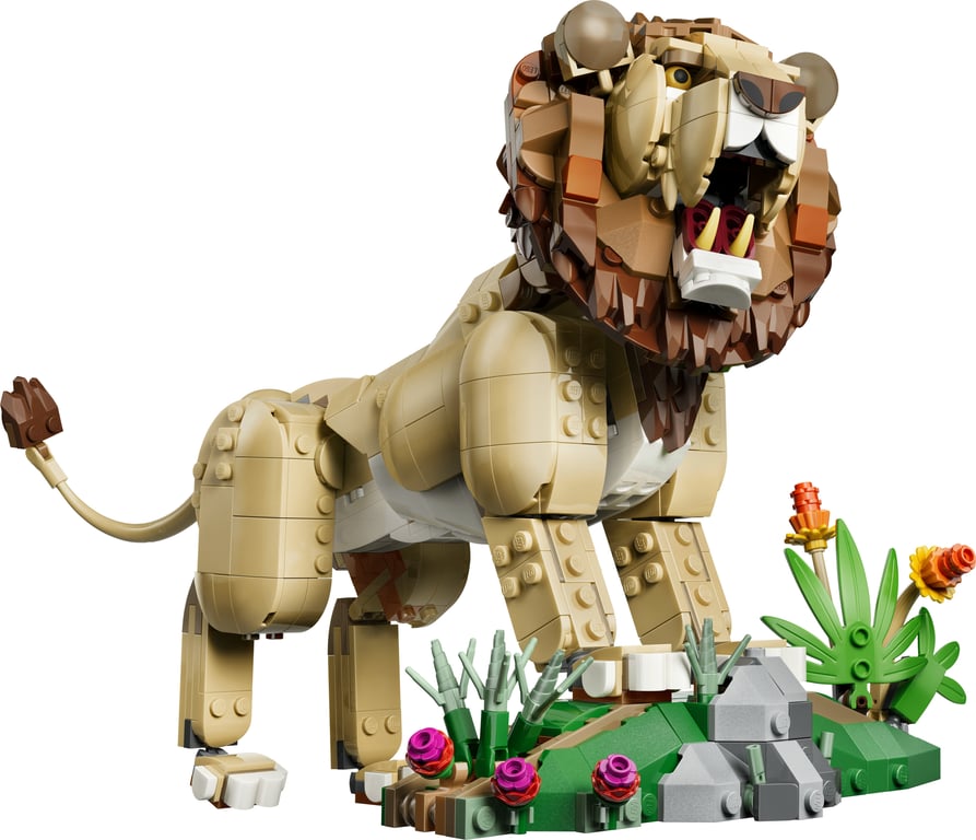 LEGO Creator Dzikie zwierzęta: Dumny lew