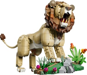 LEGO Creator Dzikie zwierzęta: Dumny lew