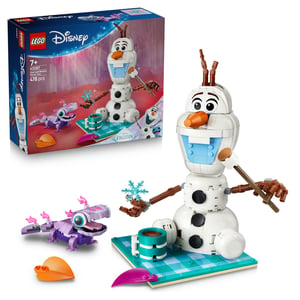 LEGO Disney Princess Piknik Olafa i Bruniego