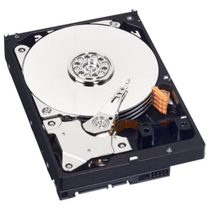 Western Digital Caviar Blue 250GB dysk twardy 7200 RPM 16 MB 3.5" SATA