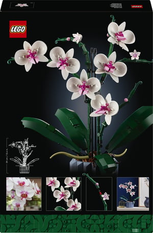 LEGO Botanicals Orchidea