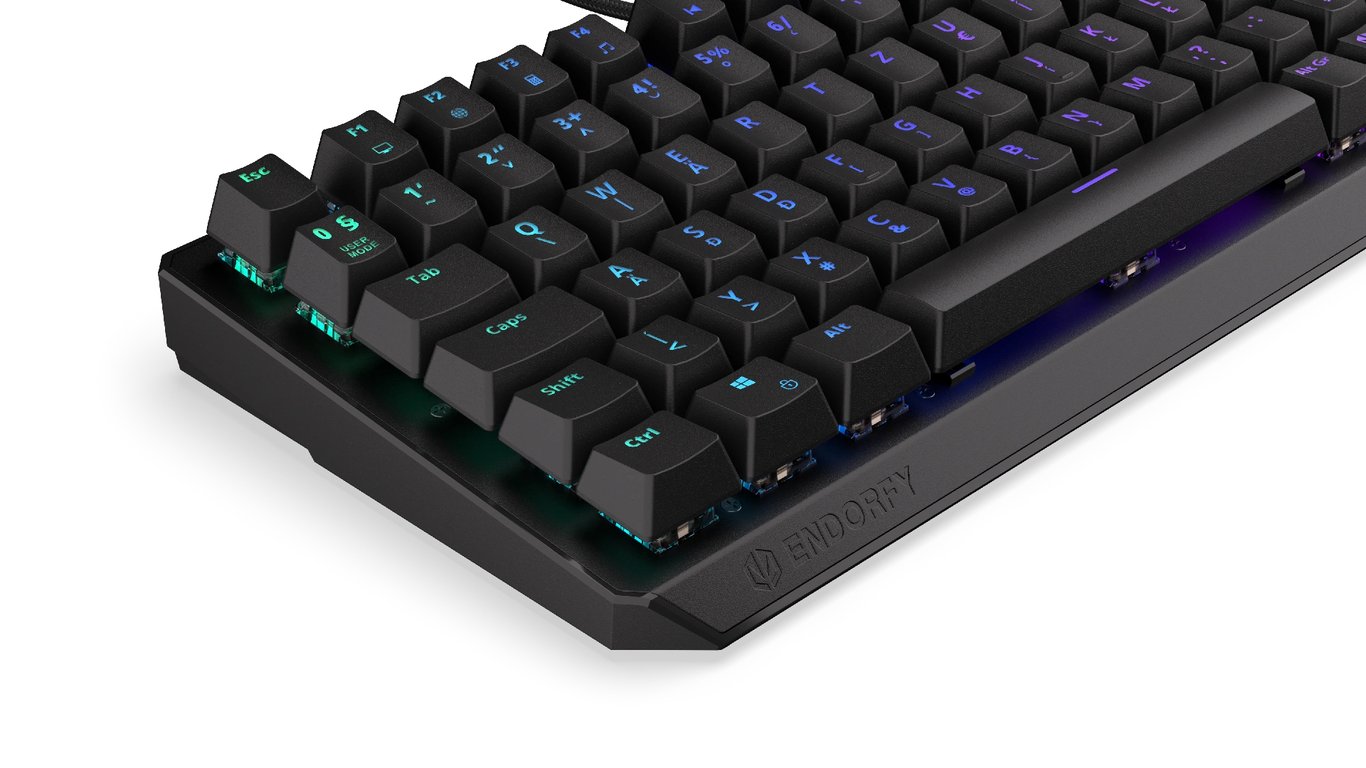 ENDORFY EY5E007 klawiatura Gaming USB Węgierski Czarny
