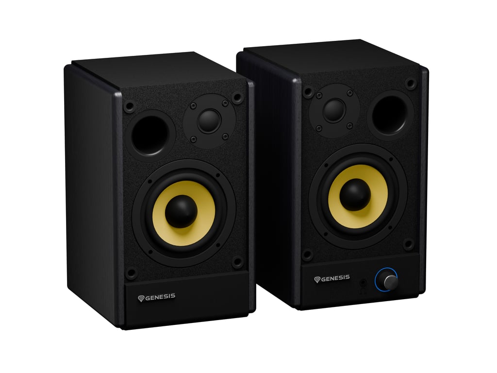 фото Акустические колонки Genesis Arsen 402BT Black (NGS-2415) 1