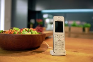 FRITZ! C6 DECT Phone Caller Name and ID White
