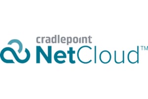 Cradlepoint NetCloud Enterprise Branch 1 x licencja 1 lat(a)