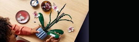 LEGO Botanicals Orchidea