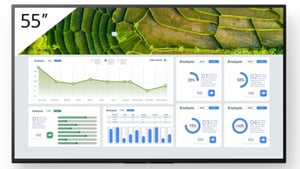 Sony FW-55BZ30L skyltdisplay Platt skärm Digital Signage 139,7 cm (55") LCD Wi-Fi 440 cd/m² 4K Ultra HD Svart Android 24/7