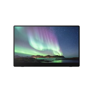 Ricoh 150 Tragbarer Monitor Schwarz 39,6 cm (15,6") LED 1920 x 1080 px
