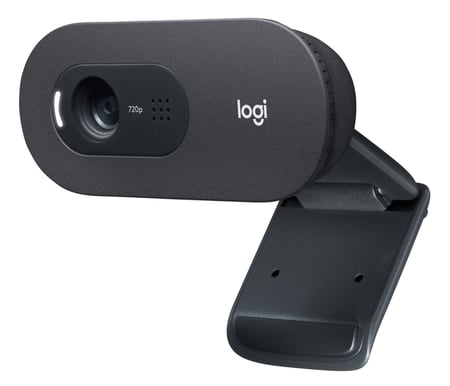 Logitech C505 HD kamera internetowa USB Grafitowy