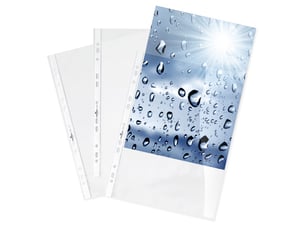 Durable 2676-19 plastficka för dokument 210 x 297 mm (A4) Polypropylen (PP) 100 st.