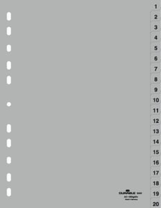 Durable 6522-10 Numeric Card Tab, Polypropylene (PP), Gray