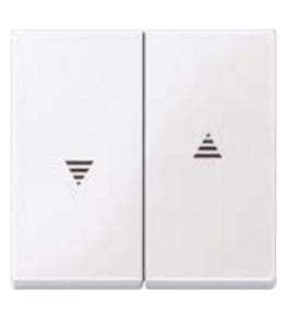 Merten 432425 Light Switch, Thermoplastic, White
