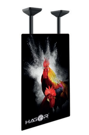 Hagor PLD Single HD Portrait 2,54 m (100") Schwarze Decke