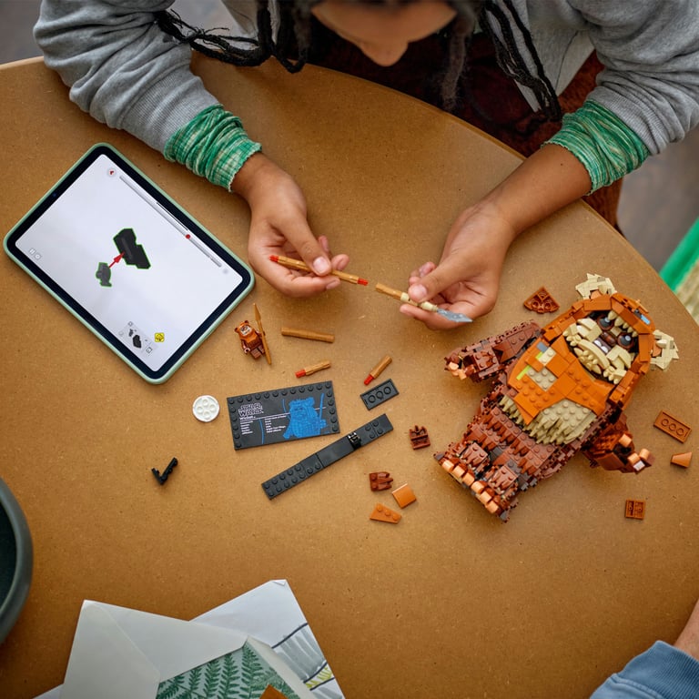 фото Блоковий конструктор LEGO Star Wars Евок Вікет (75430)