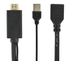 Gembird A-HDMIM-DPF-01 kabeladapter 0,1 m HDMI typ A (standard) DisplayPort + USB typ A svart