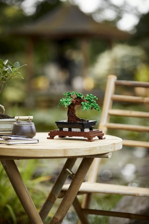 LEGO Botanicals Drzewko bonsai