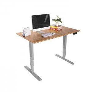 Maclean MC-763 Standing Desk Frame, Electric, 2-Leg, Gray