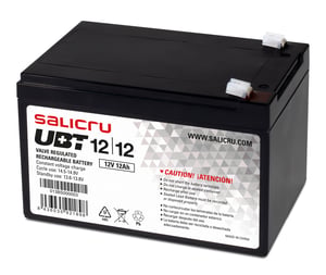Salicru 013BS000003 blybatteri (VRLA) 12 V 12 Ah